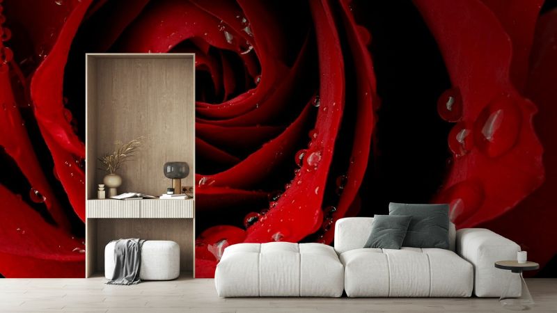 Không gian nội thất sử dụng màu rose red