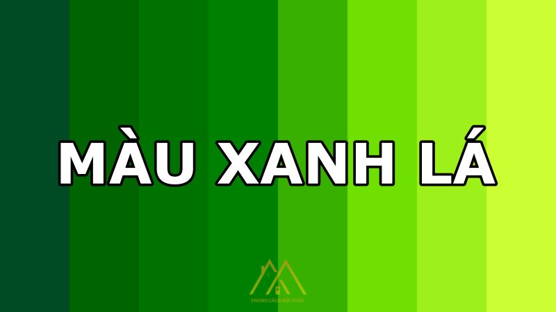 Màu xanh lá là một sắc màu nằm giữa màu vàng và xanh dương trên bánh xe màu.