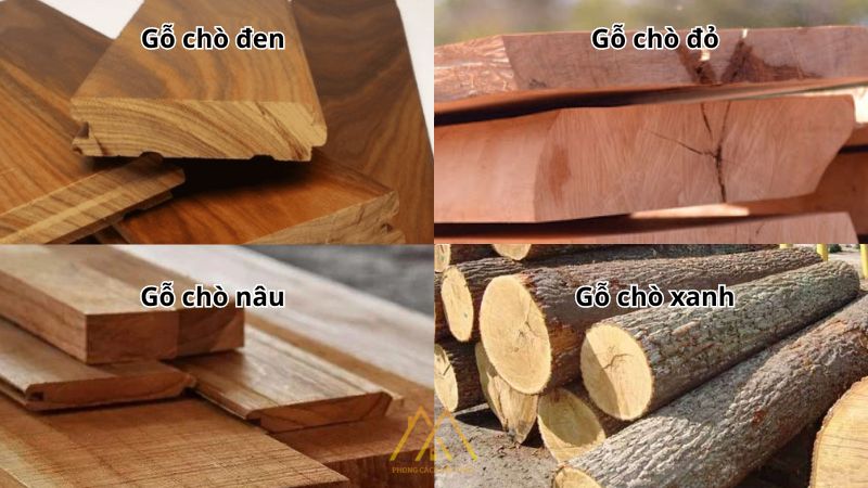 Gỗ chò gồm có 4 loại