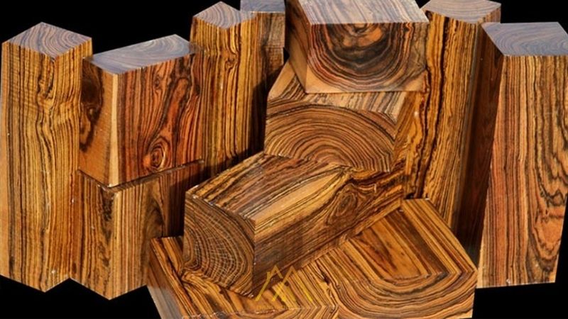 Gỗ Bocote - Đứng đầu danh sách những loại gỗ đắt nhất thế giới