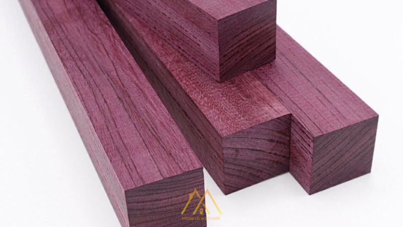 Gỗ quý Purple Heart (gỗ Cẩm Tâm) có sắc tím độc đáo và khả năng chống chịu thời tiết vượt trội